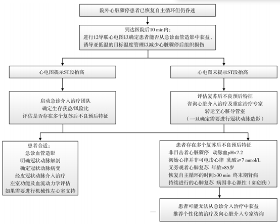心脏骤停但无ST段抬高，不能排除冠脉事件！中国共识